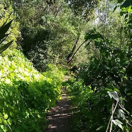 Σπίτι διακοπών Casa Na Termal Monchique