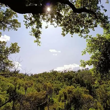 Σπίτι διακοπών Casa Na Termal *