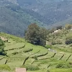 Casa Na Termal بيت للعطل *