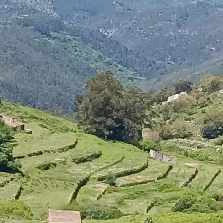 Casa Na Termal Tatil Evi *