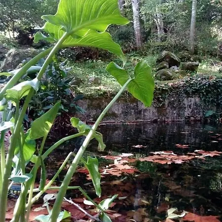 Feriehus Casa Na Termal *