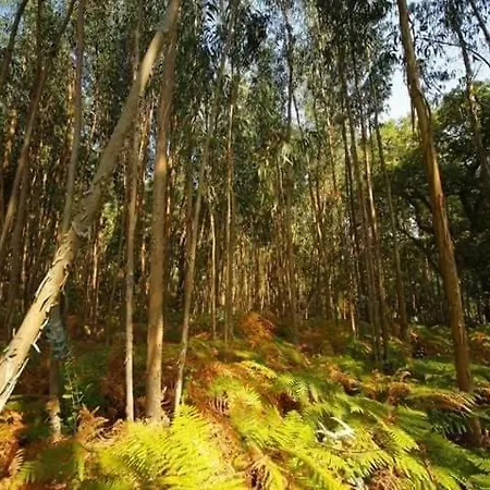 Casa Na Termal Feriehus